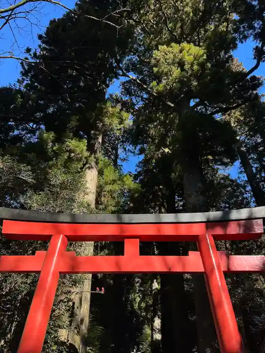 箱根神社(神奈川県)