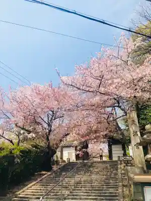 道明寺天満宮の周辺