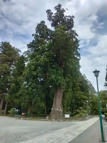清澄寺(千葉県)