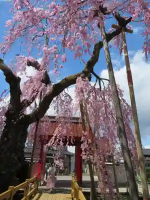 妙関寺(福島県)
