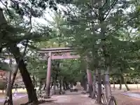 出雲大社(島根県)