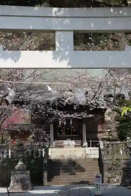 御霊神社の{uncategorized: "未分類", other: "その他", undefined: "問題あり", building: "その他建物", grave: "お墓", sacred_gate: "鳥居", guardian: "狛犬", statue: "像", buddha: "仏像", history: "歴史", nature: "自然", garden: "庭園", animal: "動物", pagoda: "塔", temizu: "手水舎", mountain_gate: "山門・神門", sanctuary: "本殿・本堂", subordinate: "末社・摂社", art: "芸術", scenery: "景色", jizo: "地蔵", ema: "絵馬", goshuin: "御朱印", omikuji: "おみくじ", items: "授与品その他", amulet: "お守り", goshuincho: "御朱印帳", eats: "食事", festival: "お祭り", votive_dance: "神楽", shichigosan: "七五三参", wedding: "結婚式", experience: "体験その他", initially: "初詣", around: "周辺", anti_infection: "感染症対策"}