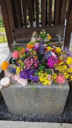 勝林寺(京都府)