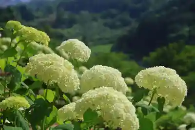 陽林寺(福島県)