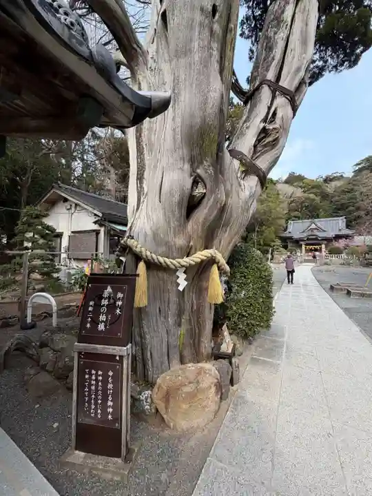 伊古奈比咩命神社(静岡県)