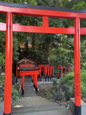 澤蔵司稲荷（慈眼院）(東京都)