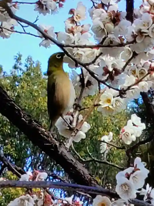 福蔵院(東京都)