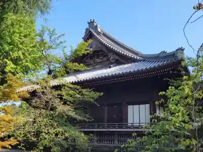寛永寺(根本中堂)の本殿・本堂