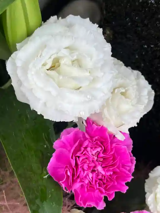 上尾御嶽神社の手水舎