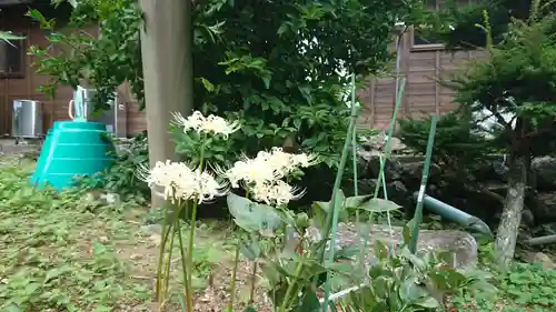 熊野神社（稲取）の自然