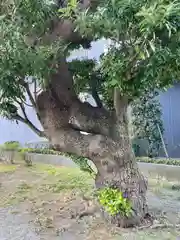 琵琶島神社(神奈川県)