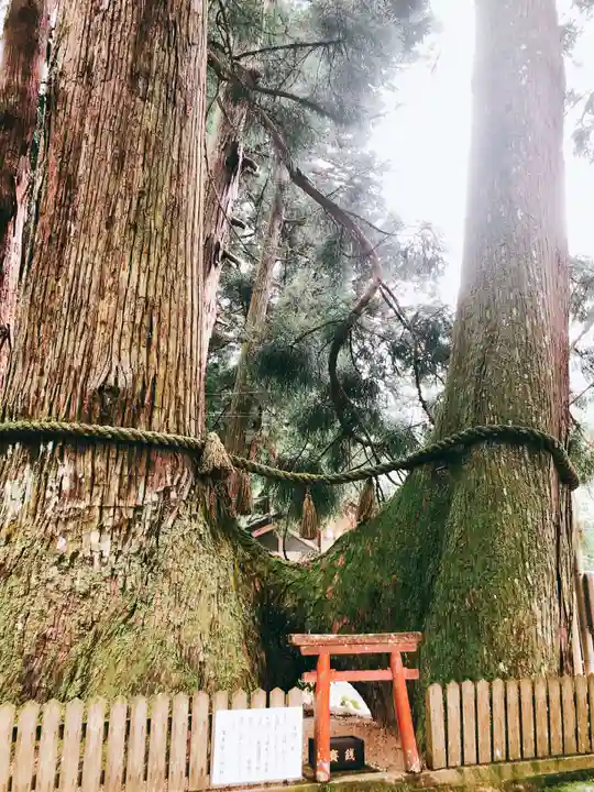 室生龍穴神社の自然