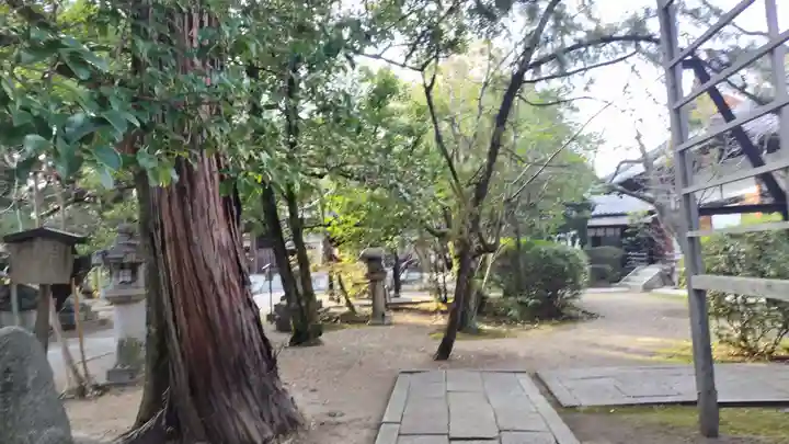 御霊神社(上御霊神社)(京都府)