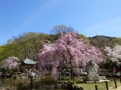 岐阜護國神社(岐阜県)