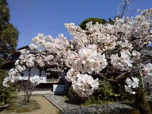 御霊神社（上御霊神社）の自然