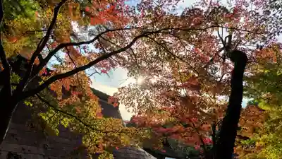 出雲大神宮(京都府)