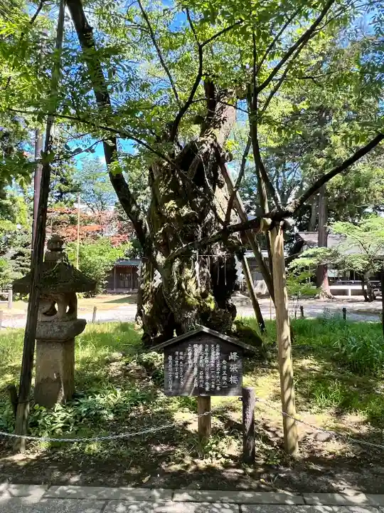 蠶養國神社(福島県)