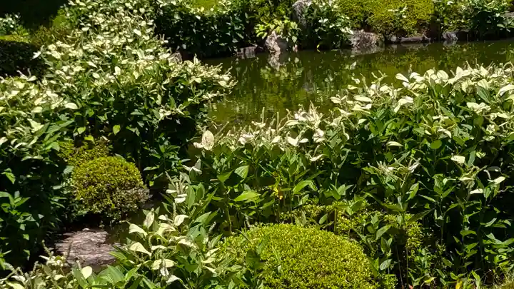 両足院(京都府)