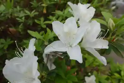 三篠神社(広島県)