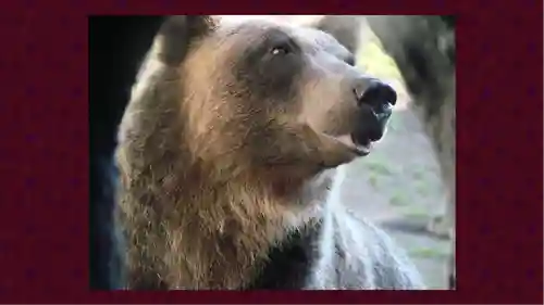 北海道神宮(北海道)