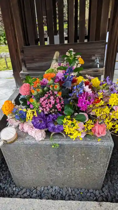 勝林寺(京都府)