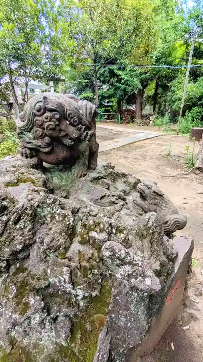 今井神社の狛犬