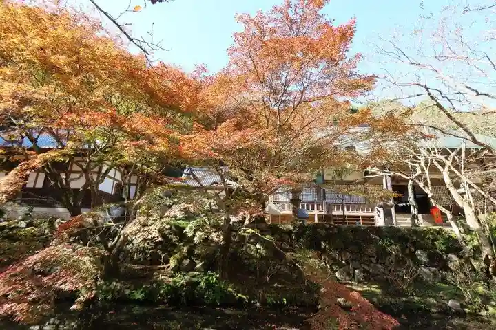 大寧寺(山口県)