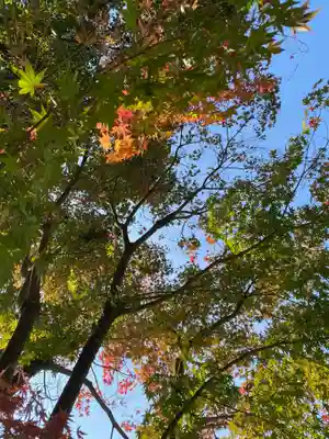 彦嶽宮(熊本県)