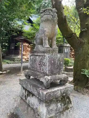 報徳二宮神社の狛犬