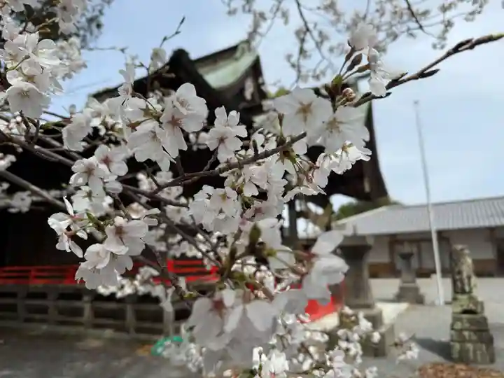 美奈宜神社(福岡県)