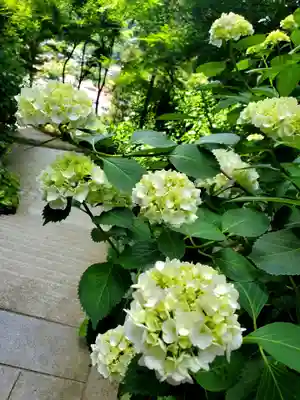 石都々古和気神社(福島県)