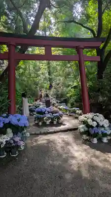 岡寺(龍蓋寺)(奈良県)