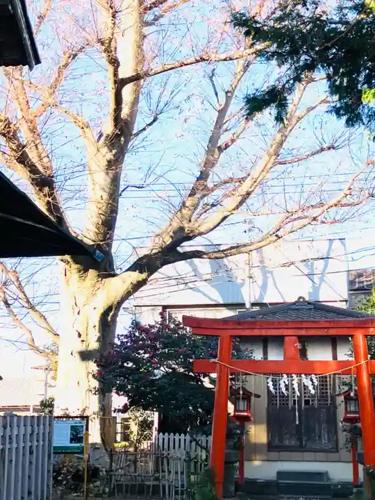 龍ケ崎八坂神社(茨城県)