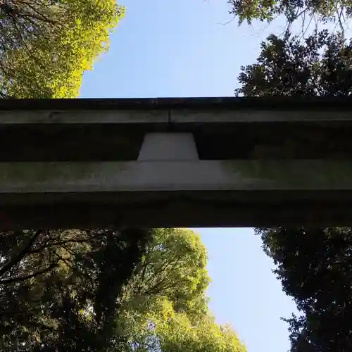 渋谷氷川神社の鳥居