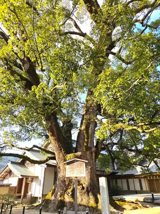 太宰府天満宮の自然