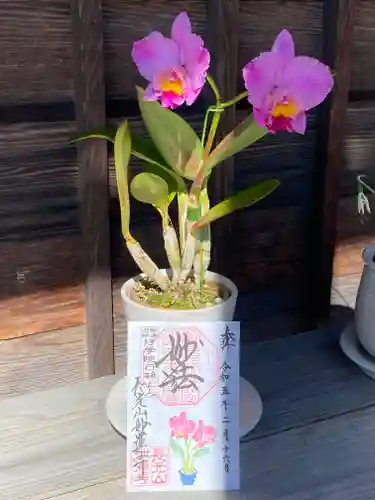 妙蓮寺(神奈川県)