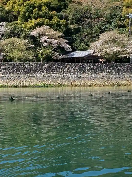 厳島神社の{uncategorized: "未分類", other: "その他", undefined: "問題あり", building: "その他建物", grave: "お墓", sacred_gate: "鳥居", guardian: "狛犬", statue: "像", buddha: "仏像", history: "歴史", nature: "自然", garden: "庭園", animal: "動物", pagoda: "塔", temizu: "手水舎", mountain_gate: "山門・神門", sanctuary: "本殿・本堂", subordinate: "末社・摂社", art: "芸術", scenery: "景色", jizo: "地蔵", ema: "絵馬", goshuin: "御朱印", omikuji: "おみくじ", items: "授与品その他", amulet: "お守り", goshuincho: "御朱印帳", eats: "食事", festival: "お祭り", votive_dance: "神楽", shichigosan: "七五三参", wedding: "結婚式", experience: "体験その他", initially: "初詣", around: "周辺", anti_infection: "感染症対策"}