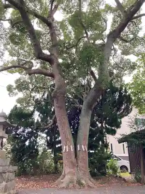 金山神社(福島県)