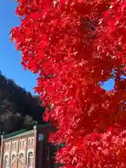 夕張神社の自然