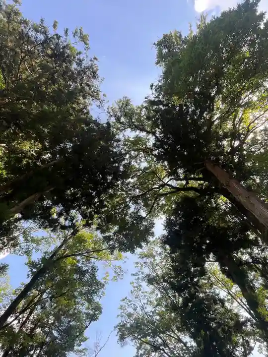 小室浅間神社(山梨県)