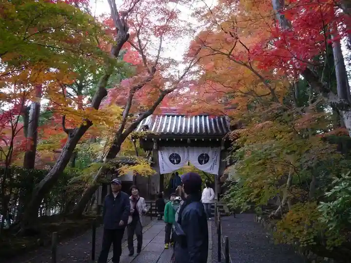 光明寺(粟生光明寺)の山門・神門
