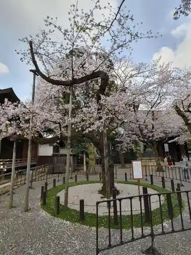 靖國神社の庭園