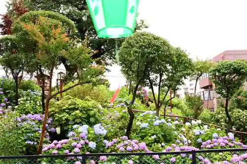 白山神社(東京都)