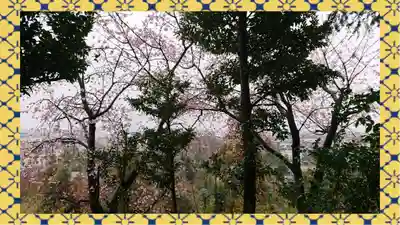 九重神社(埼玉県)