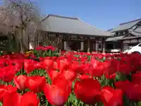 泉蔵寺の本殿・本堂