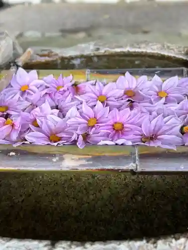 立志神社(滋賀県)