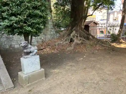 諏訪神社(神奈川県)