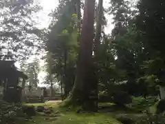 粟鹿神社の自然