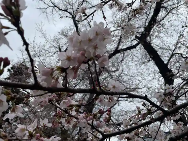 新田稲荷神社の自然