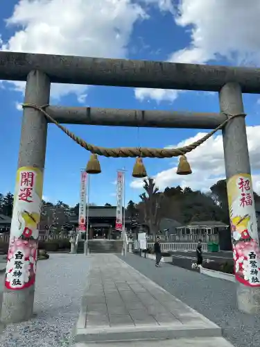 白鷺神社の{uncategorized: "未分類", other: "その他", undefined: "問題あり", building: "その他建物", grave: "お墓", sacred_gate: "鳥居", guardian: "狛犬", statue: "像", buddha: "仏像", history: "歴史", nature: "自然", garden: "庭園", animal: "動物", pagoda: "塔", temizu: "手水舎", mountain_gate: "山門・神門", sanctuary: "本殿・本堂", subordinate: "末社・摂社", art: "芸術", scenery: "景色", jizo: "地蔵", ema: "絵馬", goshuin: "御朱印", omikuji: "おみくじ", items: "授与品その他", amulet: "お守り", goshuincho: "御朱印帳", eats: "食事", festival: "お祭り", votive_dance: "神楽", shichigosan: "七五三参", wedding: "結婚式", experience: "体験その他", initially: "初詣", around: "周辺", anti_infection: "感染症対策"}